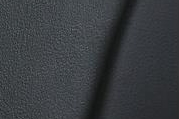 INTERIOR COLOR