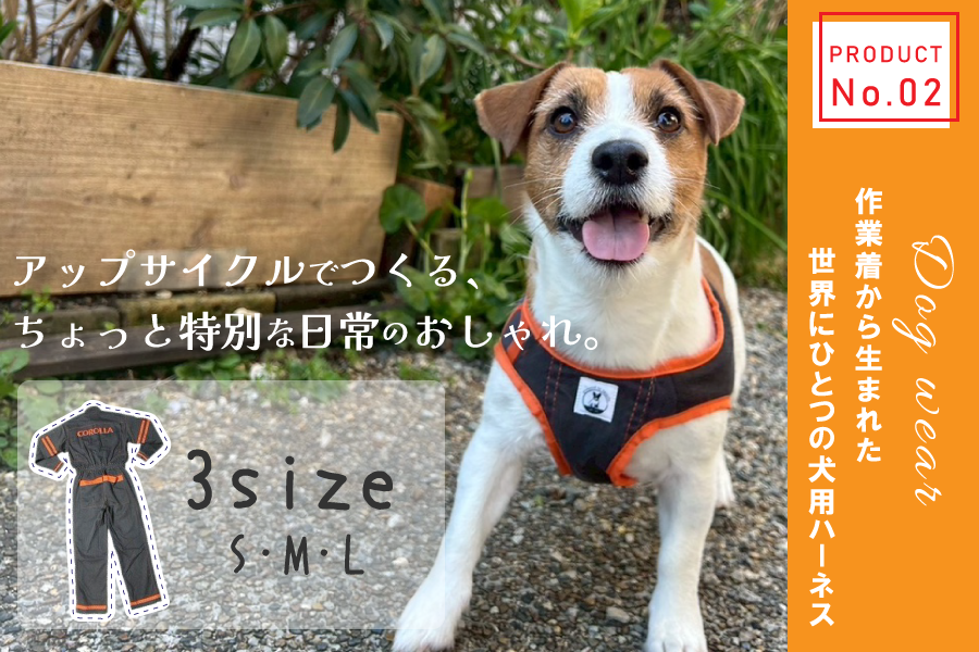 アップサイクル