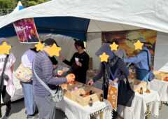 写真12